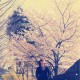 用户名：JiN***