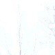 用户名：Xia***