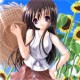 用户名：liy***