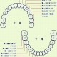 用户名：ztx***